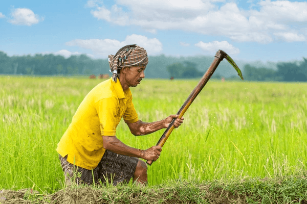 Agricultural Worker